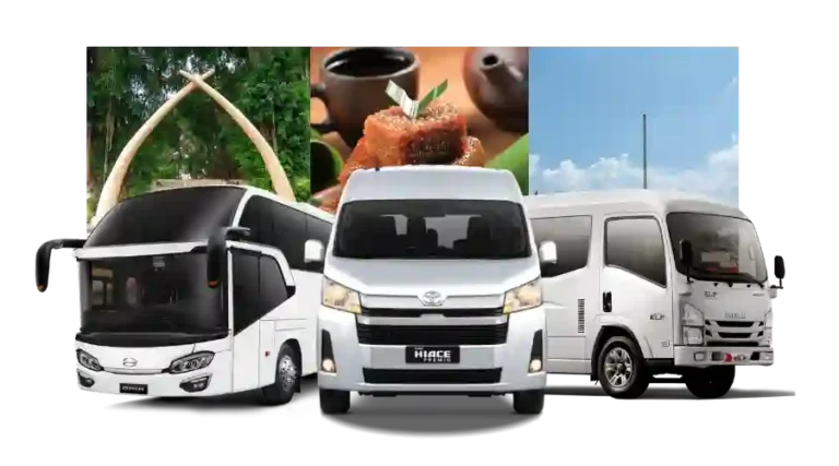 Sewa Bus Sragen PO Pariwisata Murah Mini Medium Bus Harga 800K